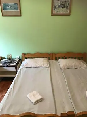 Engi Panzio Bed & Breakfast Ocna de Sus