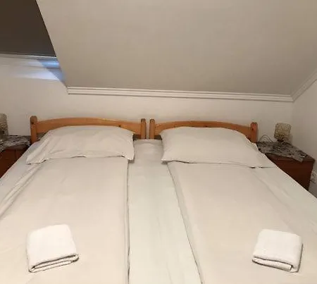 Engi Panzio Bed & Breakfast Ocna de Sus